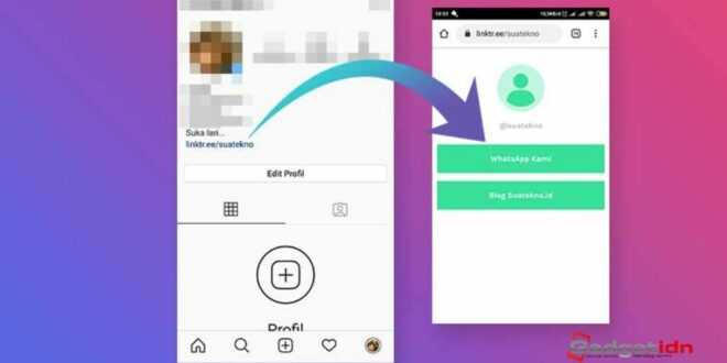 Cara Membuat Link Whatsapp di Instagram dengan Mudah dan Trik Bisnis